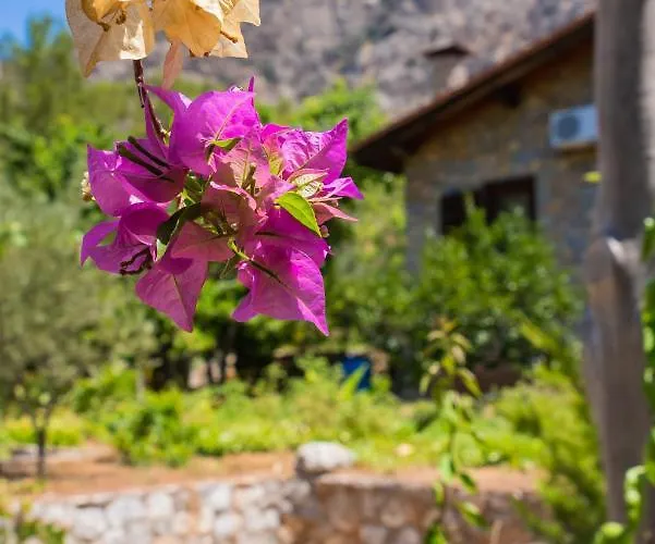 Villa Sakin Vadi Marmaris